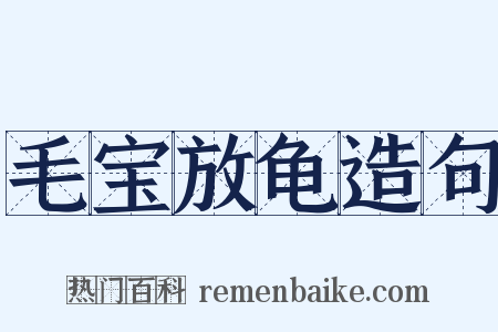 毛宝放龟造句是什么意思的图片